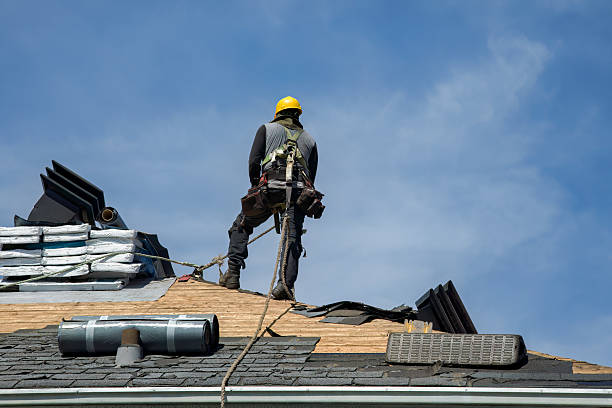 Professional Roof Installation technician working in Alberta, MN